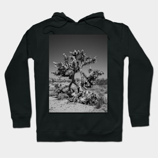 Joshua Tree Photography V4 Hoodie